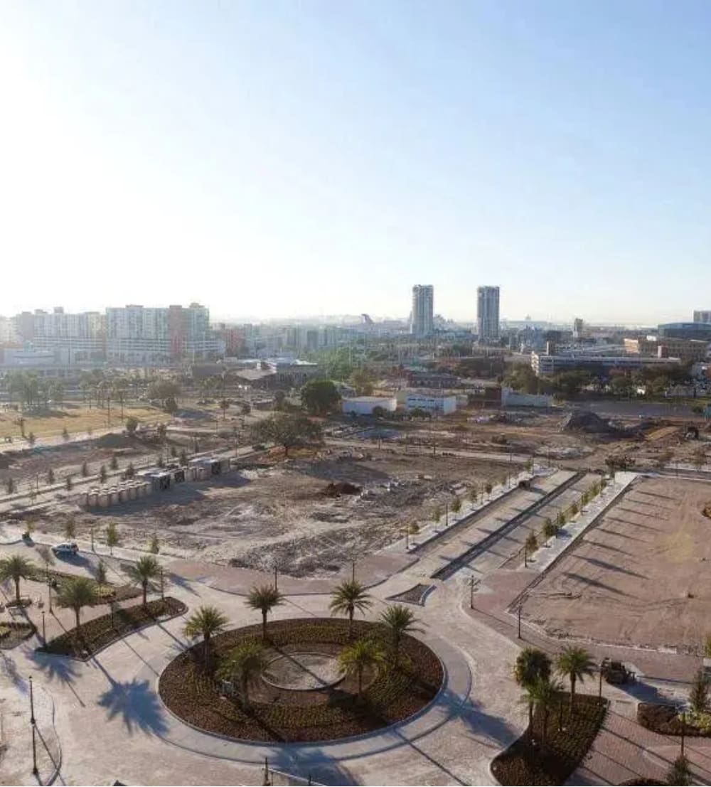 A view of an empty lot with palm trees.